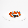 Collar gato Capri solé Vekopets