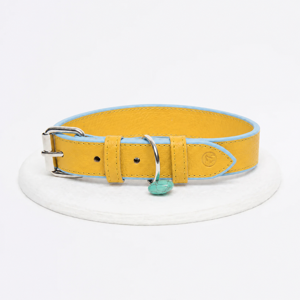 Collar cuero vegano | Limoncello