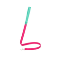 Correa Fucsia & Menta