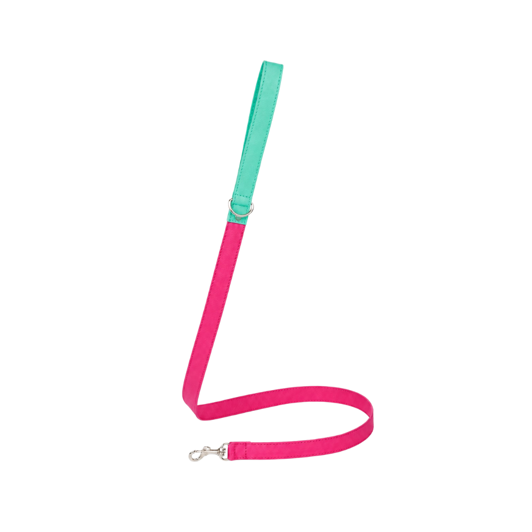 Correa Fucsia & Menta
