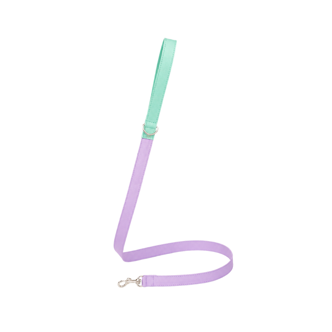 Correa Lila-Menta