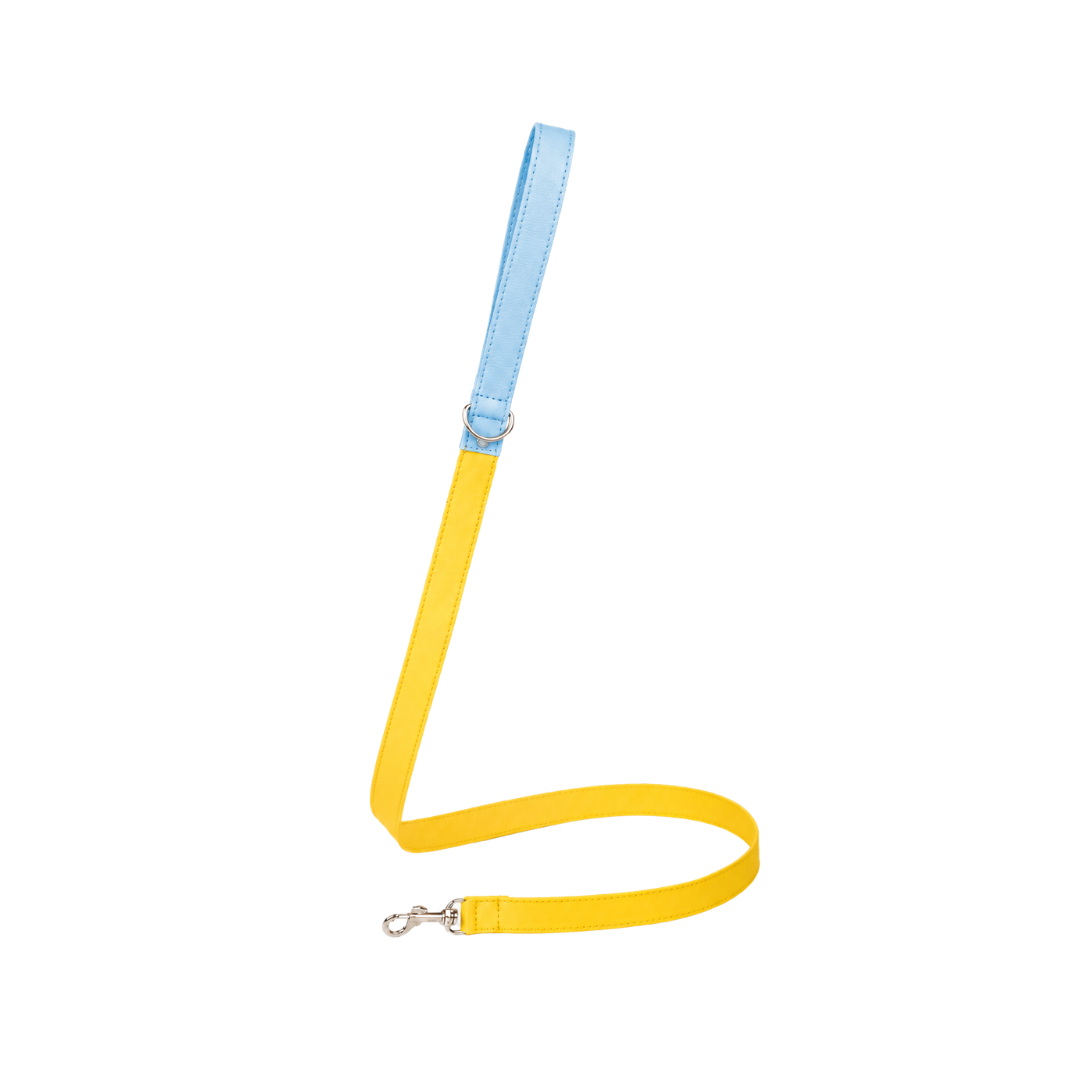 Correa Amarillo- Azul