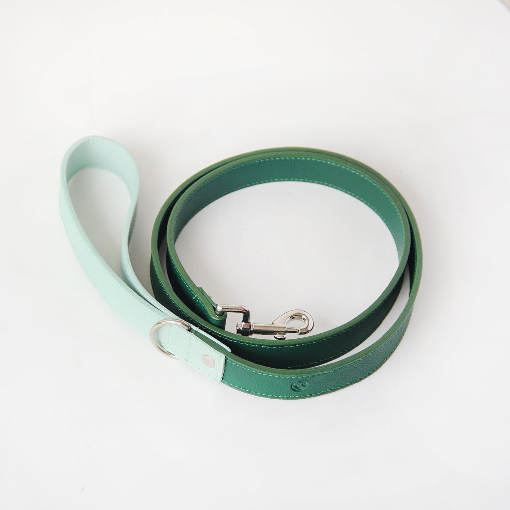 Correa Verde- menta Vekopets