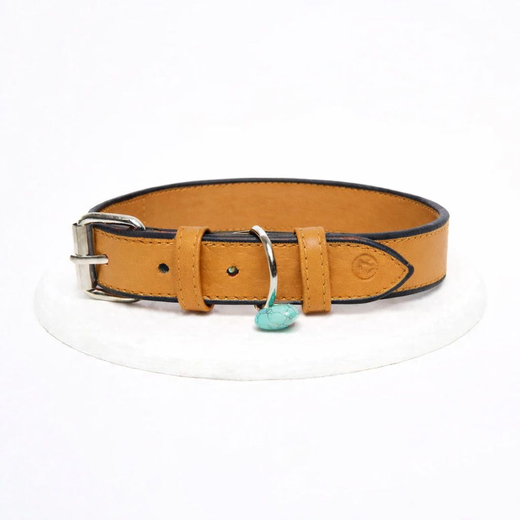 Collar Honey Noir