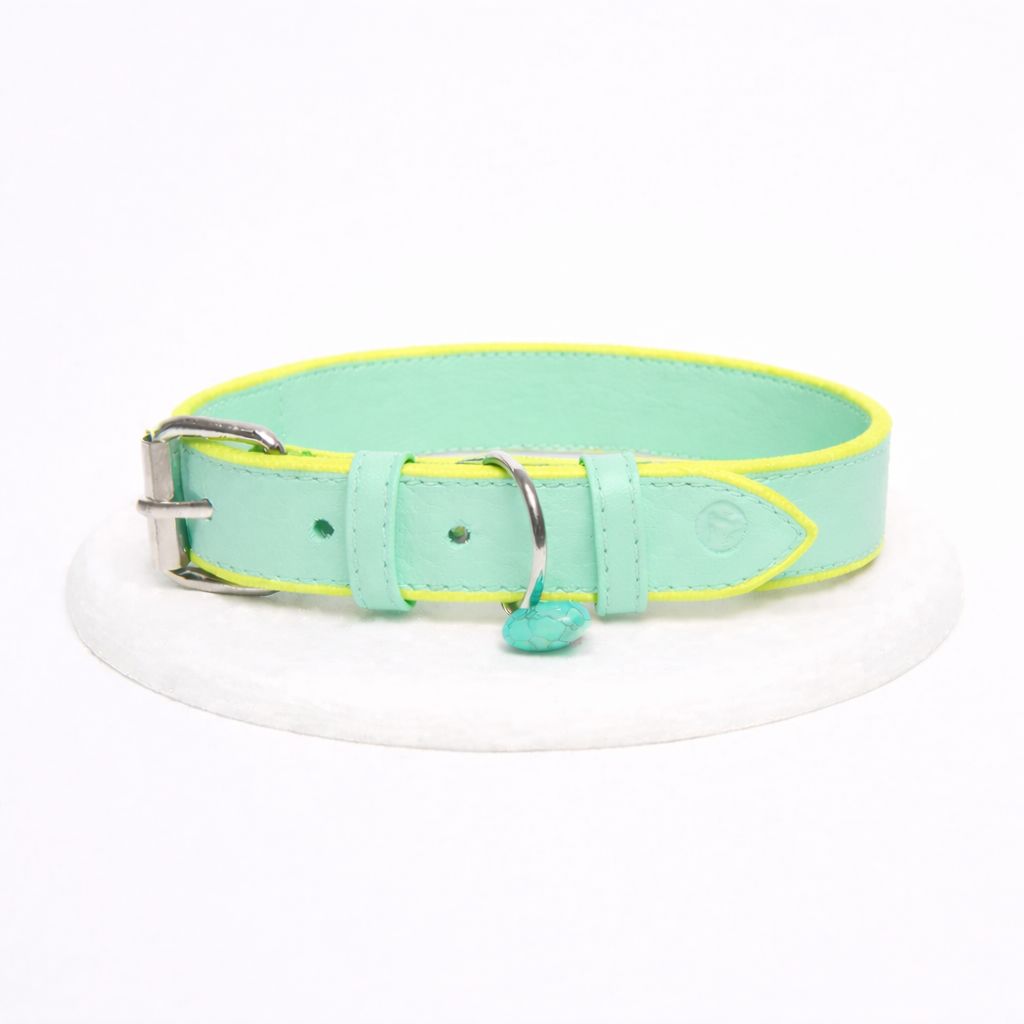 Collar Mint Glow