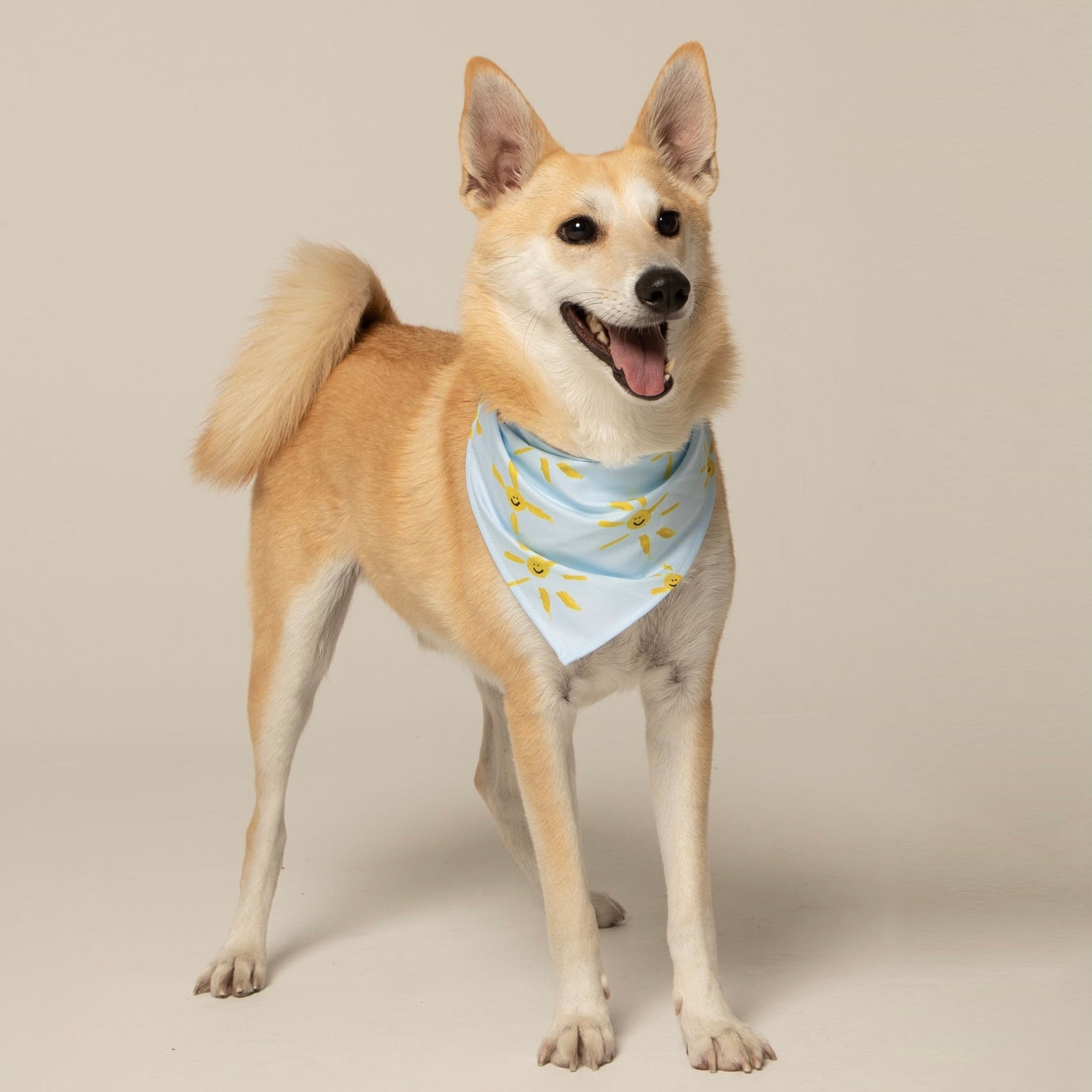 Pañoleta Solecitos Azul by JULI Vekopets