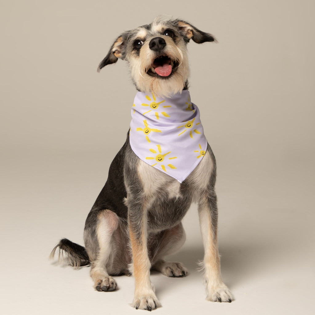 Pañoleta Solecitos Lila by JULI Vekopets