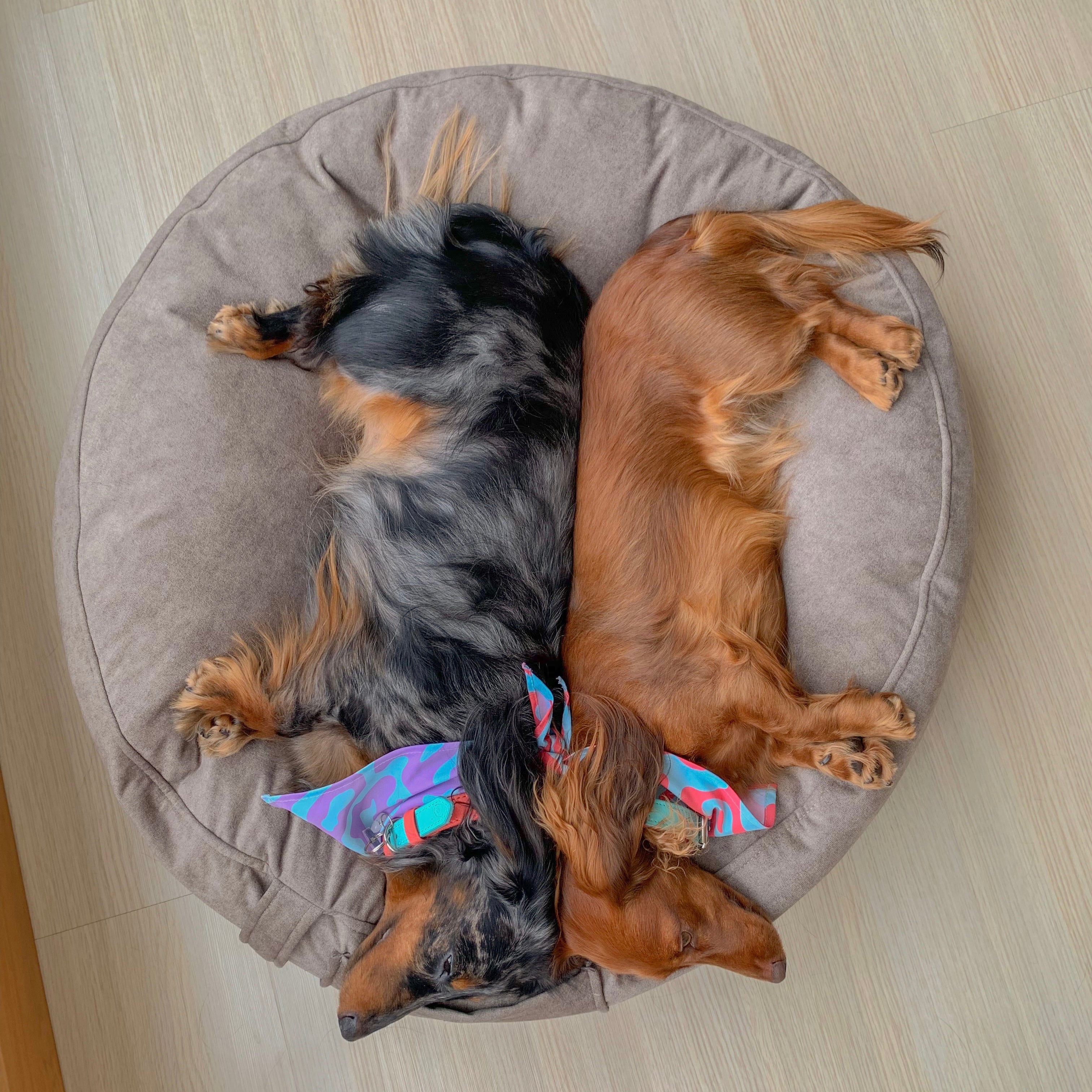 Cama VENUS - Vekopets